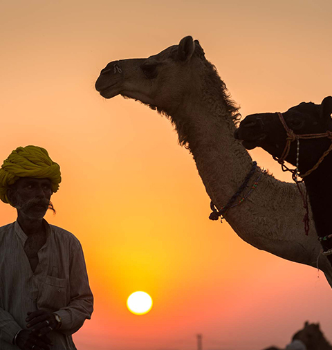 PUSHKAR FAIR - 2025