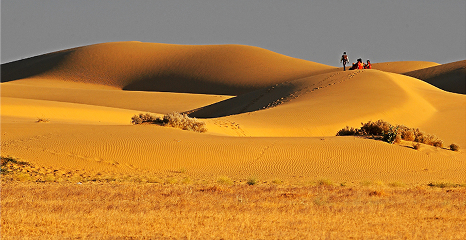 HAVE YOUR OWN SAND STORY @ THE DUNES OF JAISALMER