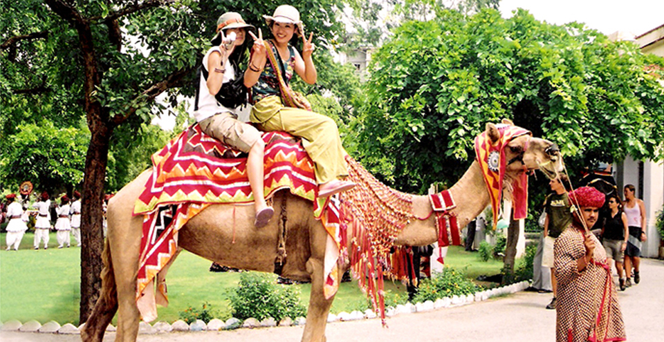 WHEN IN JODHPUR, A CAMEL SAFARI IS A MUST