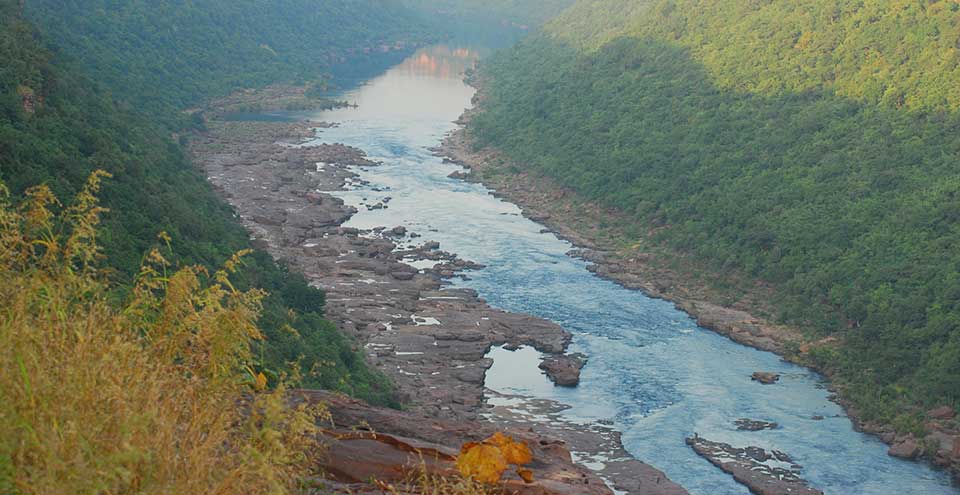 SAFARI ON CHAMBAL RIVER